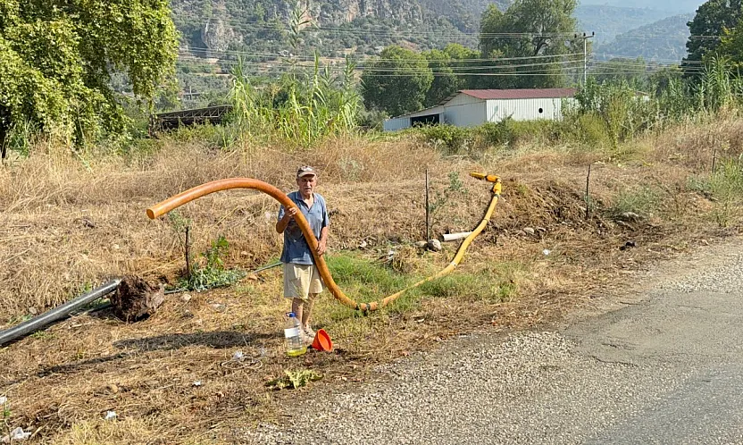 Fethiye Orman Yangınında Zeytinlikleri kül oldu, gözyaşını içine akıtıp yangına su taşıdı