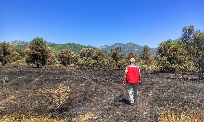 Fethiye Üzümlü'de Yangın Sonrası Tarım Arazileri İncelendi
