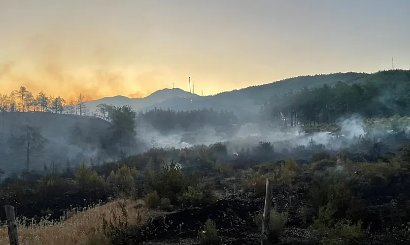 Fethiye Yeşilüzümlü'de alevlerle zorlu mücadele sürüyor
