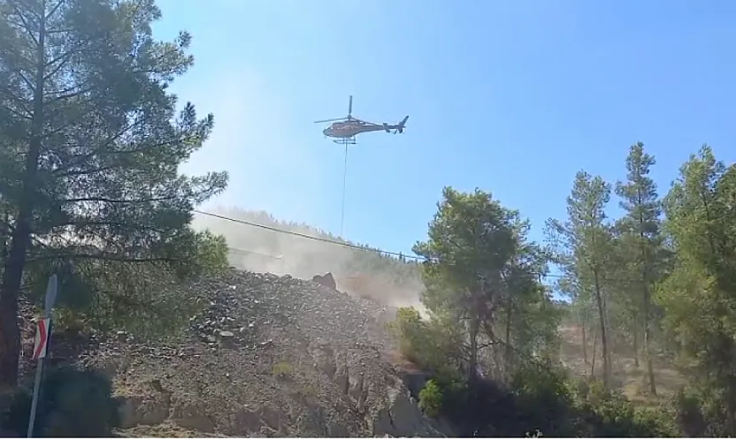 Fethiye Yeşilüzümlü'de yangının başladığı noktanın son hali