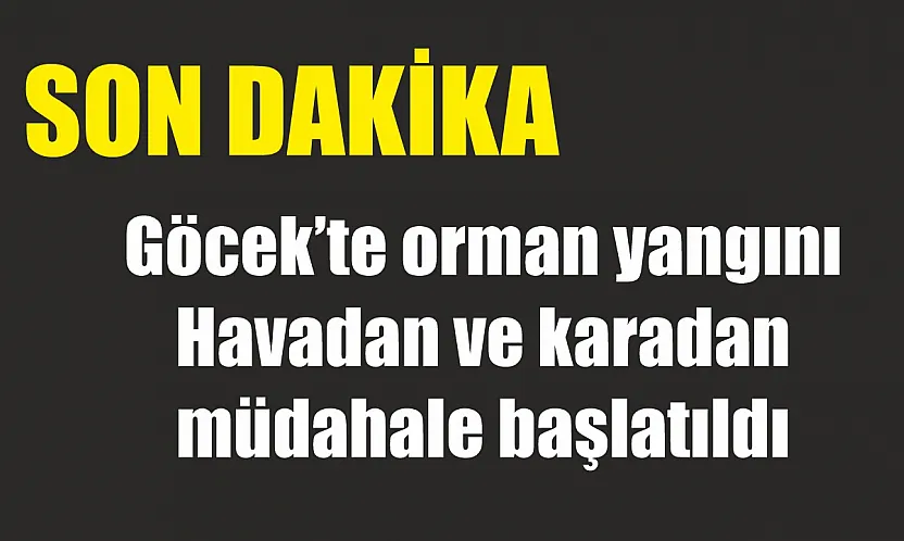 Göcek'te orman yangını: Havadan ve karadan müdahale başlatıldı