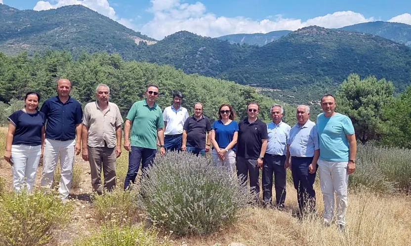 İncirköy ve Üzümlü'de Distilasyon Tesisi İçin İnceleme