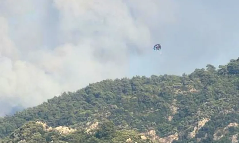 Marmaris'te orman yangını