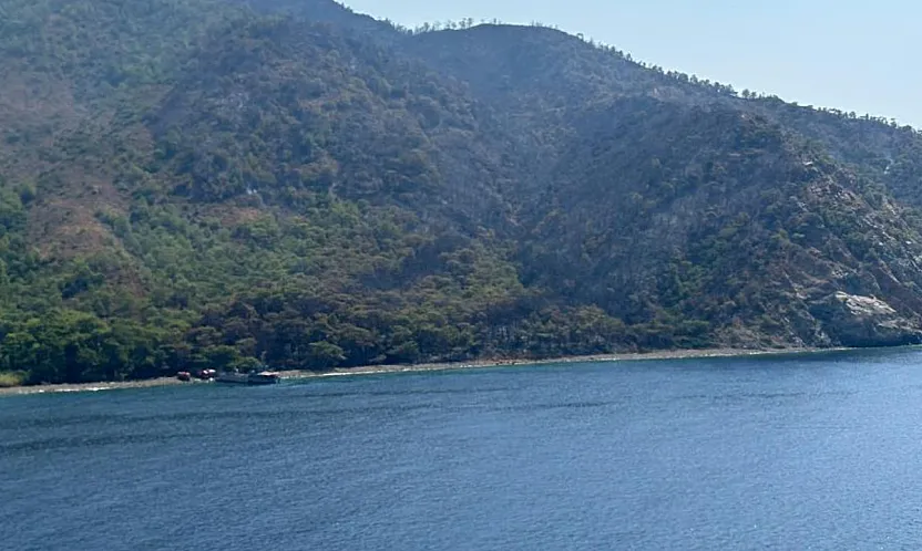 Marmaris'teki orman yangını kontrol altına alındı
