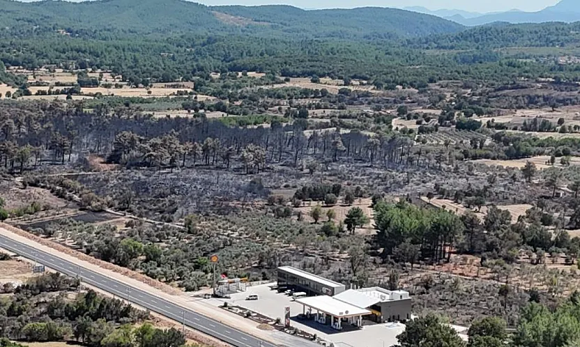 Menteşe'de alevler geride kara bir tablo bıraktı: 150 hektar zarar gördü