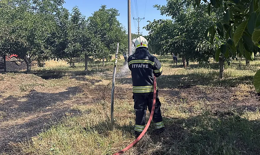 Menteşe'de arazi yangınları büyümeden söndürüldü