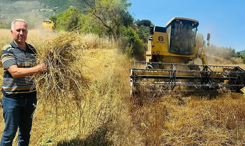 Menteşe'de biçerdöverlere sıkı denetim