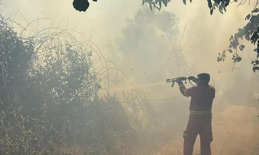 Menteşe'de çıkan anız yangını büyümeden söndürüldü