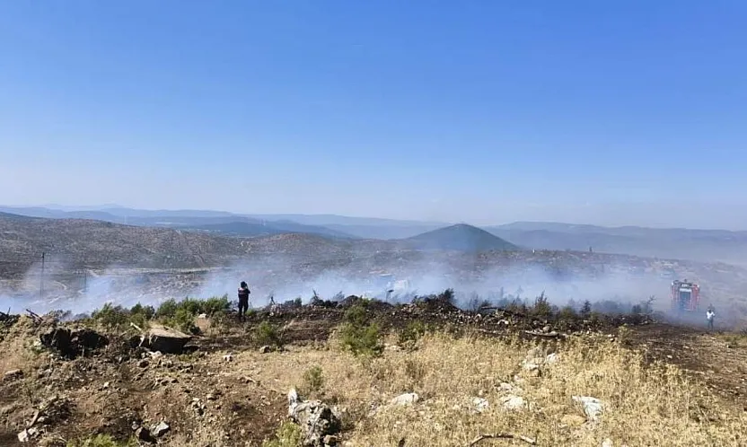 Menteşe'de makilik yangını
