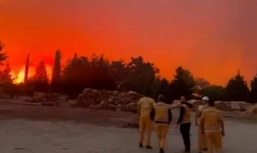Menteşe'de orman yangını
