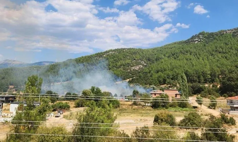 Menteşe'de otluk alanda yangın
