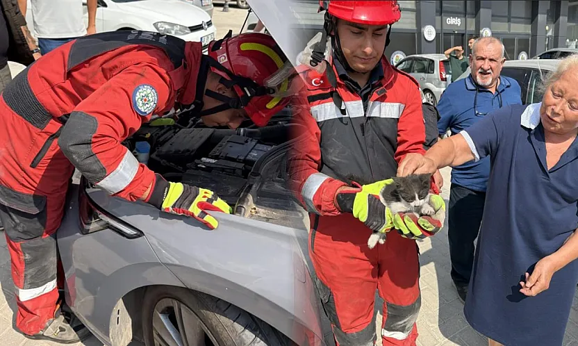 Menteşe'de otomobilin motoruna sıkışan kedi kurtarıldı