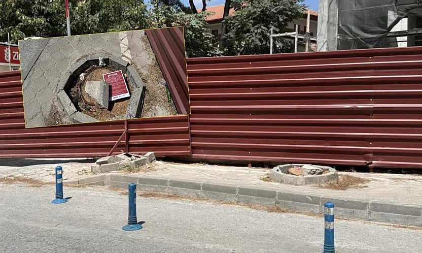 Menteşe'de riskli ağaçlar için kesim ve budama çalışması
