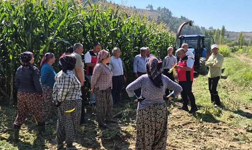 Menteşe'de üreticilere silajlık mısır eğitimi verildi