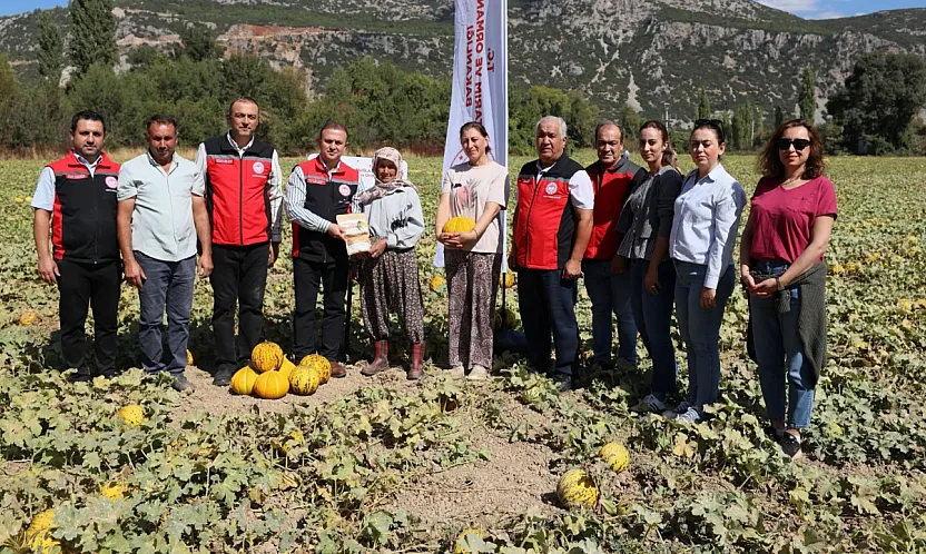 Menteşe'de yayla kavunu ve ata sebzelerinin hasadı yapıldı