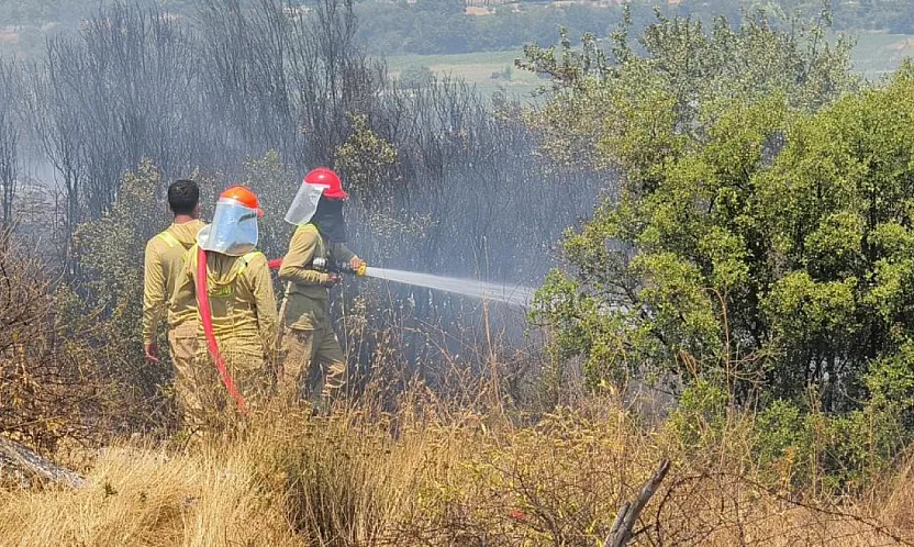 Menteşe'deki makilik yangını kontrol altına alındı