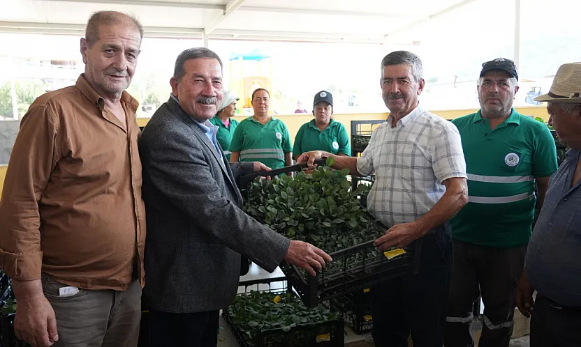 Milas Belediyesi Kışlık Sebze Fidelerini Üreticilerle Buluşturdu