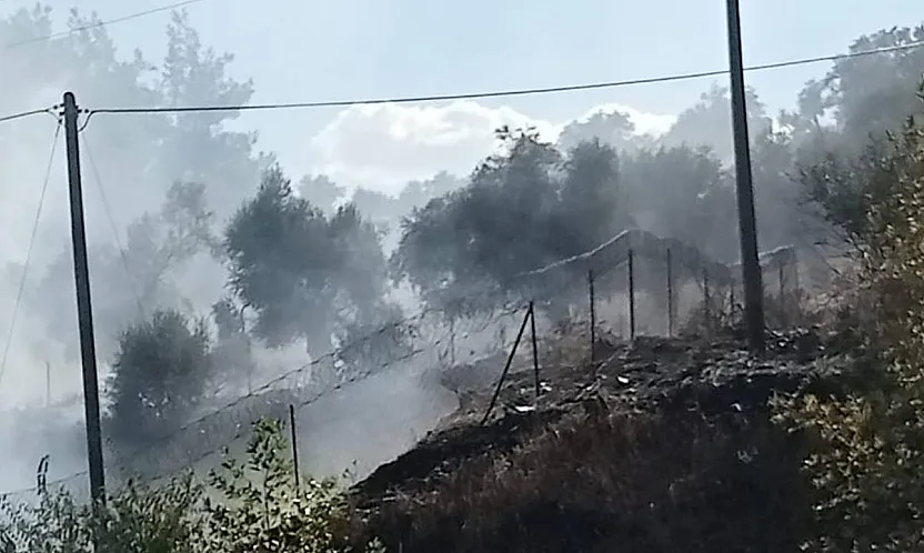 Milas-Söke karayolu üzerindeki yangın büyümeden söndürüldü