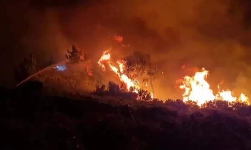 Milas'ta alevler geceyi aydınlattı