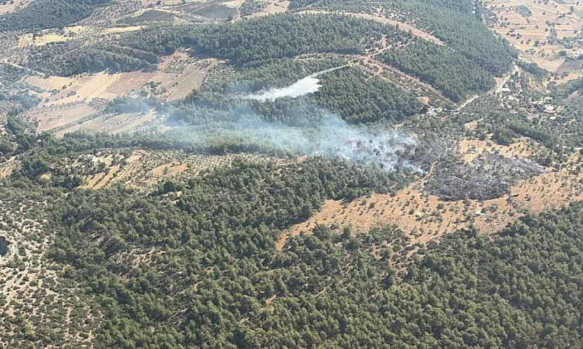 Milas'ta çıkan zirai yangın kısa sürede kontrol altına alındı