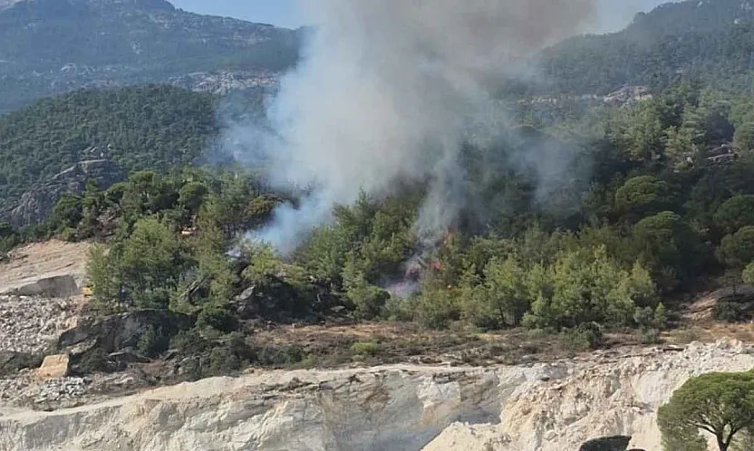 Milas'ta orman yangını