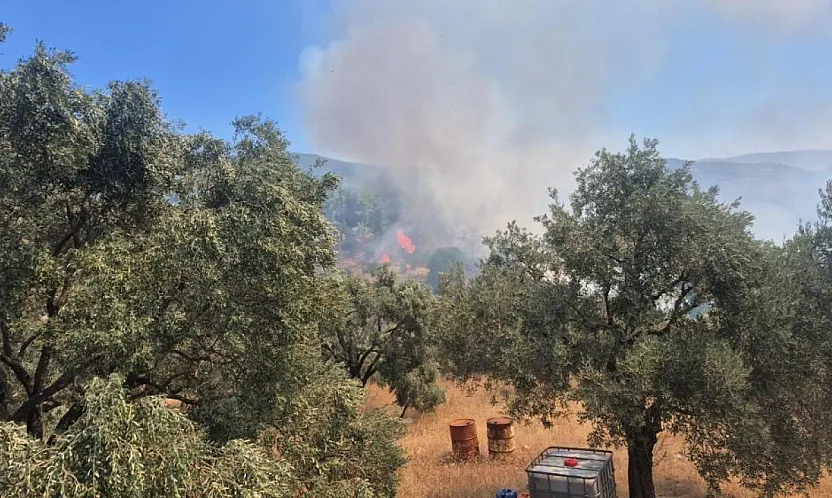 Milas'ta ziraat alanı yangını büyümeden söndürüldü