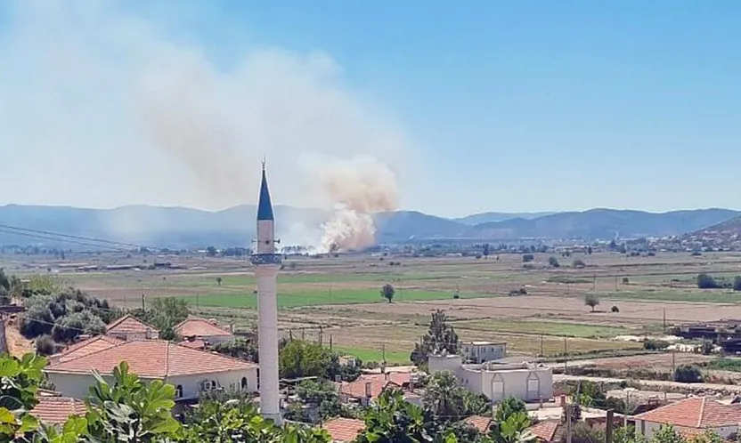 Milas Yaşyer'de ot ve sazlık yangını