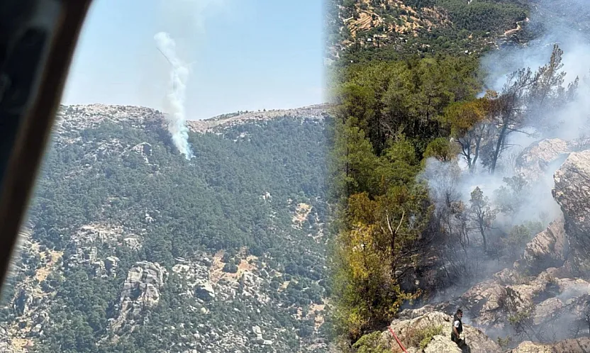 Muğla'da çıkan orman yangını söndürüldü