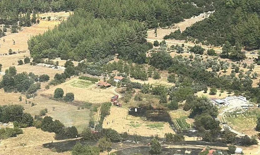 Muğla'da çıkan orman yangını söndürüldü