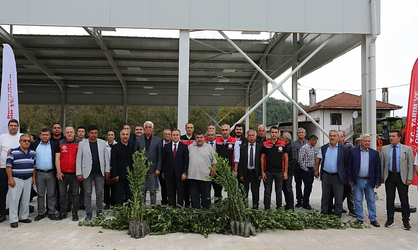 Muğla'da Defne ihracatından 75 milyon dolar bekleniyor