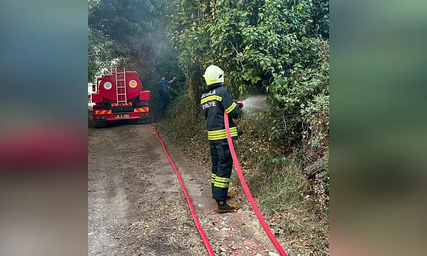 Muğla'da korkutan ot yangını: 30 metrekare alan zarar gördü