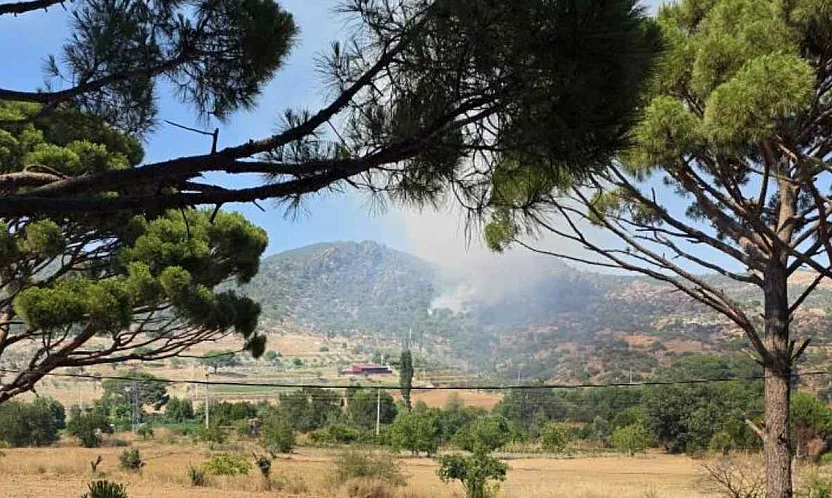 Muğla'da orman yangını