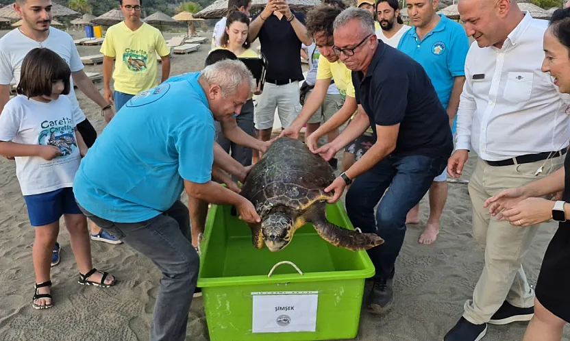 Muğla'da tedavi edilen deniz kaplumbağası 'Şimşek' denize bırakıldı