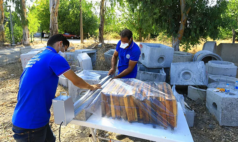 Muğla'da 'Temiz Petek' projesi yöre arıcılarının maliyetini düşürdü