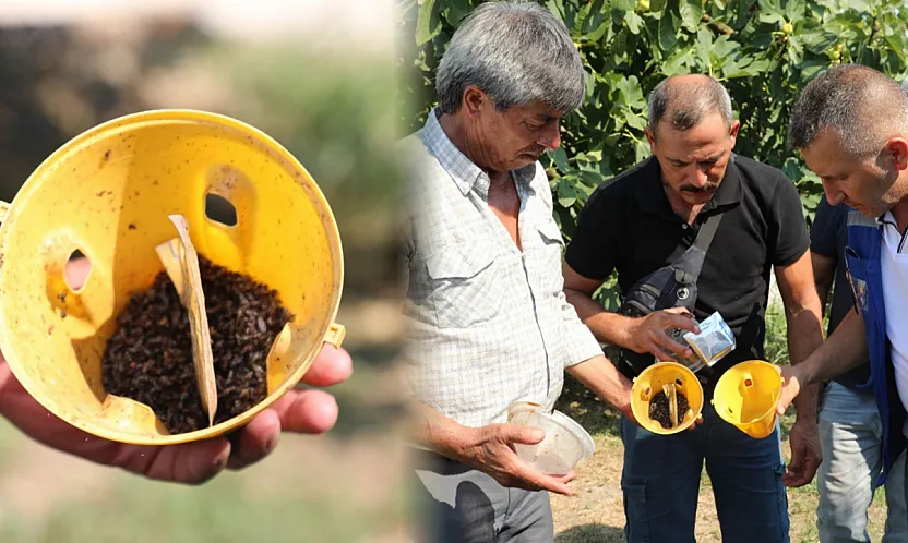Muğla'da üreticinin emeğine çevre dostu koruma