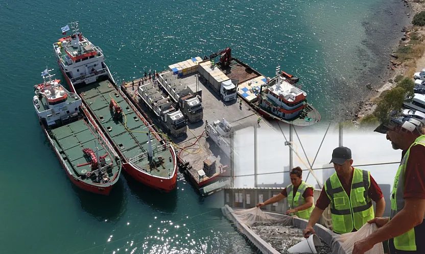 Muğla'da üretilen balık yavruları yurt dışına satılıyor