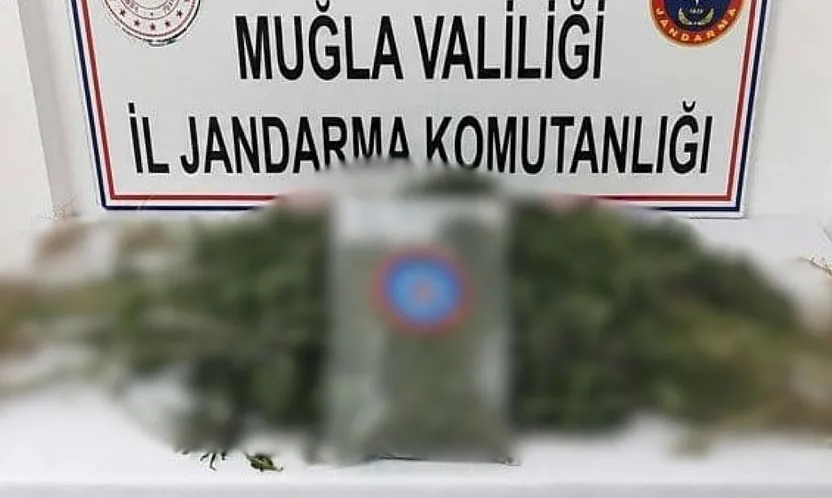 Muğla'da uyuşturucu operasyonlarında yakalanan 5 zanlı tutuklandı