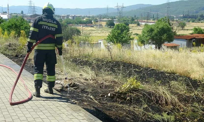 Muğla'da yol kenarına atılan sigara izmariti yangın çıkardı