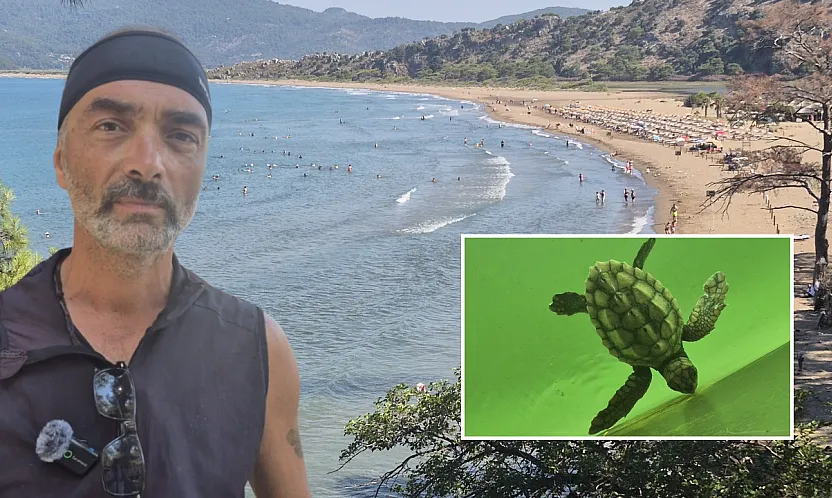 Muğla'da Yumurtadan Çıkan Caretta Caretta Yavruları Mavi Sulara Ulaşıyor