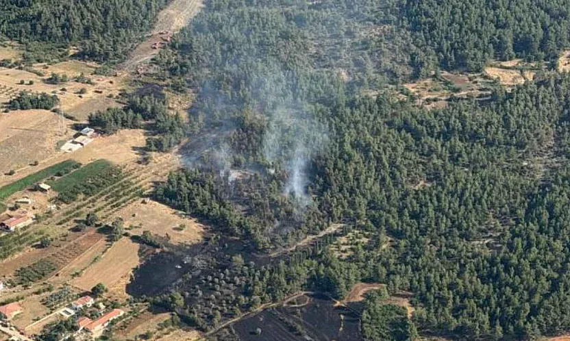 Muğla'daki orman yangını kontrol altına alındı