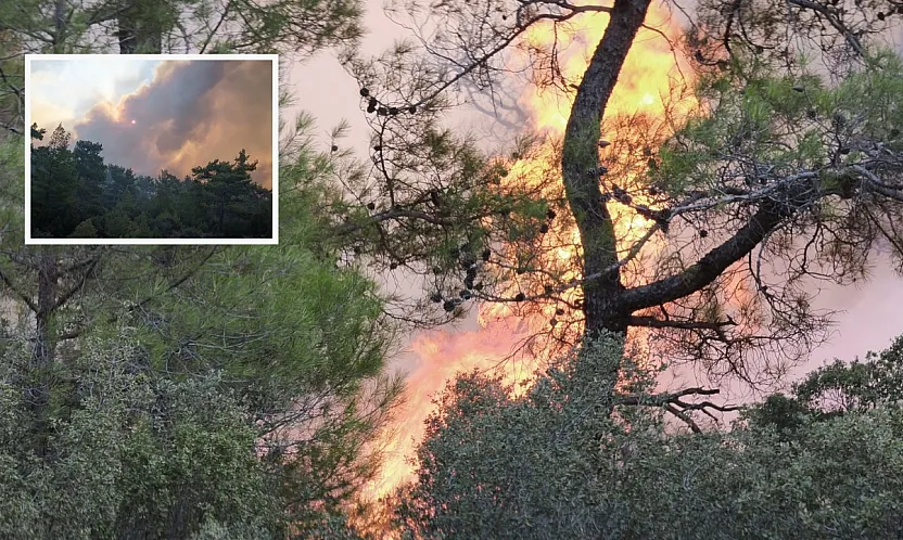 Muğla'daki orman yangınına müdahale devam ediyor