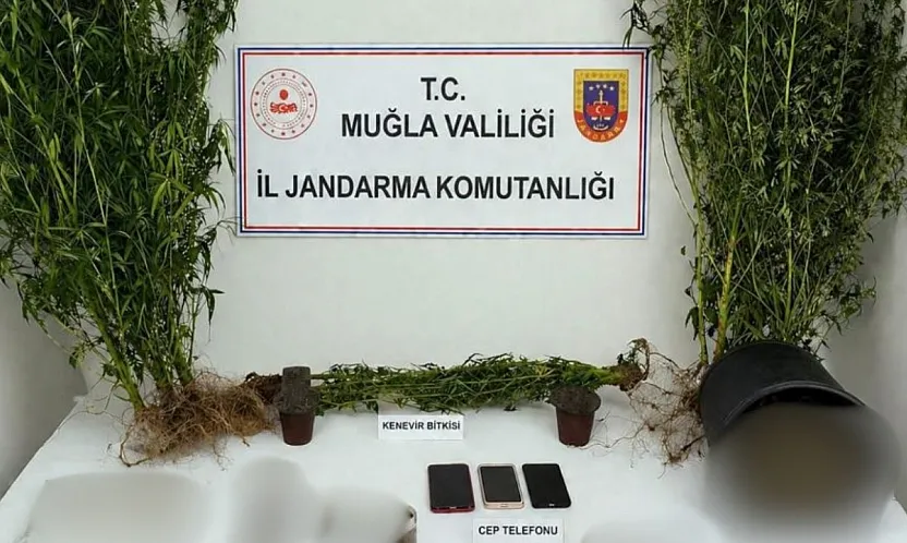 Muğla Jandarmasından uyuşturucu tacirlerine operasyon: 33 tutuklama