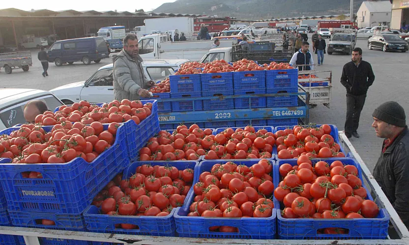 Muğla'nın Haziran ayı ihracatı 125,9 milyon dolar