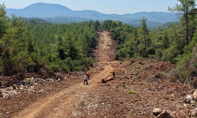 Muğla ve Aydın'da Orman yangın şerit yolu uzunluğu 2 bin kilometreye çıkıyor