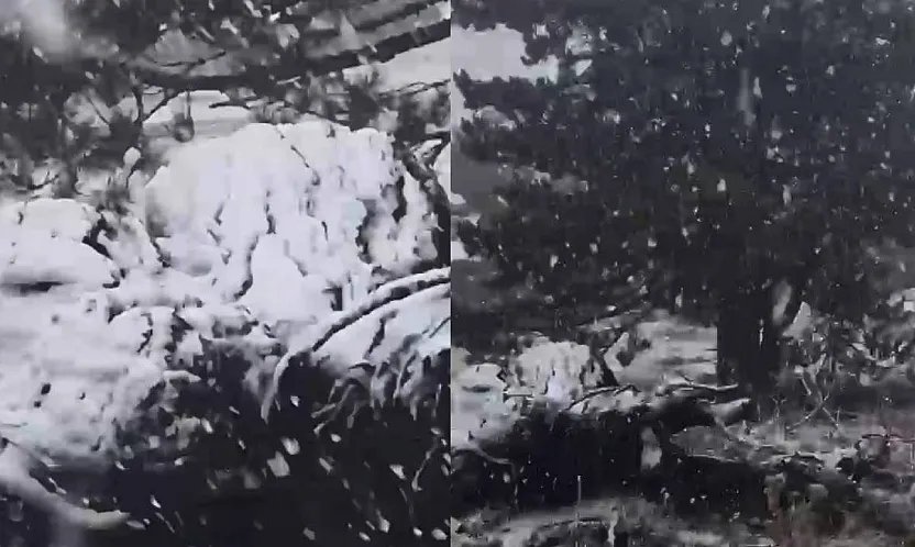 Muğla'ya sezonun ilk karı yağdı