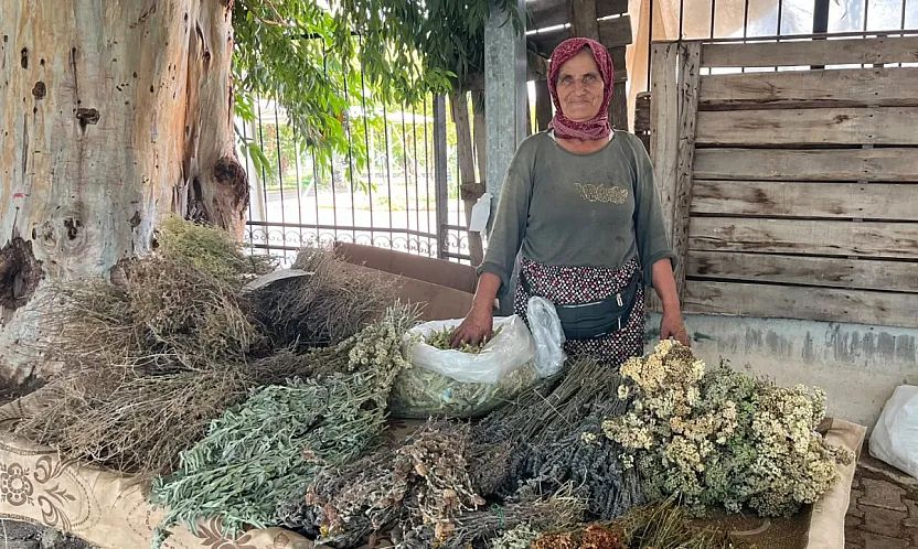 Nif'in dağlarından Fethiye Salı Pazarı'na: Doğanın şifasını tezgahına taşıyor