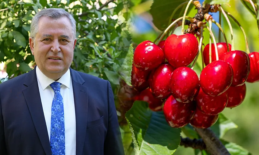 Nif Kirazı'na Coğrafi İşaret Müjdesi