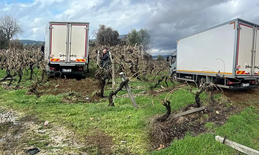 Sabıkalı yolda kamyon üzüm bağına girdi