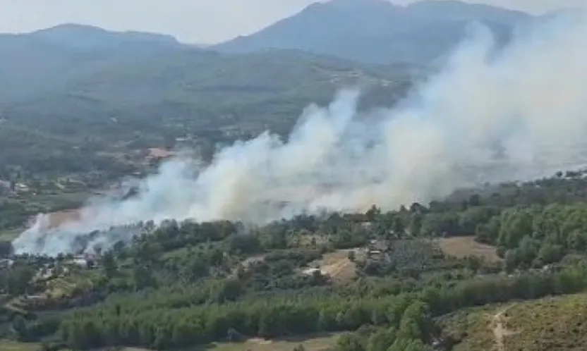 Seydikemer'de Orman Yangını: Havadan ve Karadan Müdahale Ediliyor