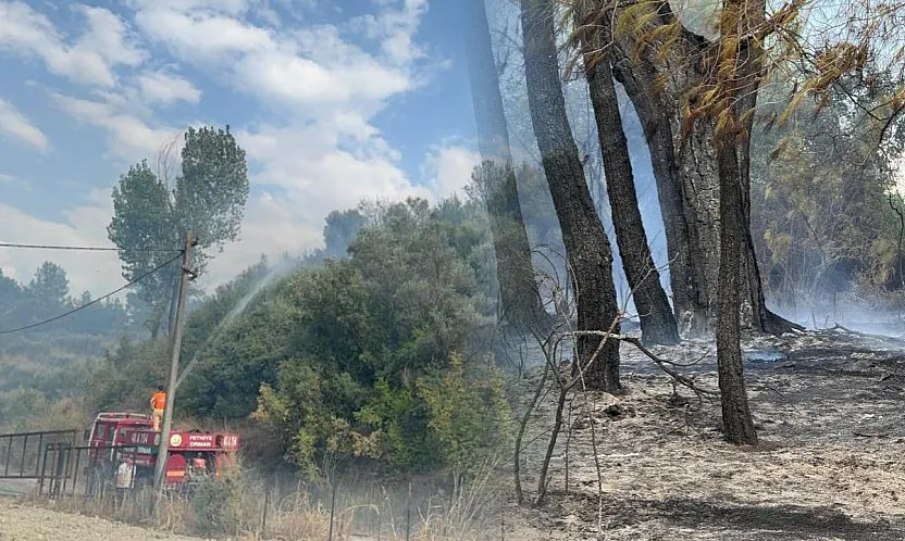 Seydikemer'de orman yangını kontrol altına alındı